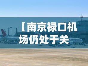 【南京禄口机场仍处于关闭状态/南京禄口机场关闭了么】