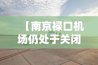 【南京禄口机场仍处于关闭状态/南京禄口机场关闭了么】