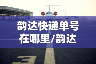 韵达快递单号在哪里/韵达快递单号在哪里写着呢