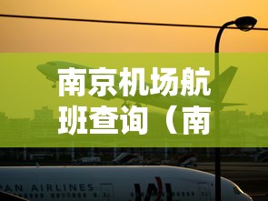南京机场航班查询（南京 机场 航班）
