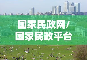 国家民政网/国家民政平台