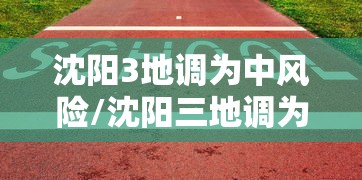 沈阳3地调为中风险/沈阳三地调为中风险