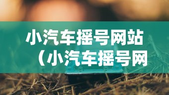 小汽车摇号网站（小汽车摇号网站登录官方）