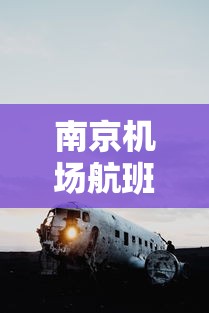 南京机场航班查询:南京机场实时航班动态