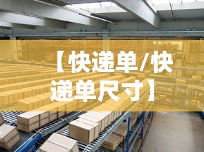 【快递单/快递单尺寸】 【快递单/快递单尺寸】