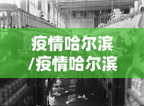 疫情哈尔滨/疫情哈尔滨理工大学分数线 疫情哈尔滨/疫情哈尔滨理工大学分数线