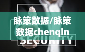 脉策数据/脉策数据chenqin