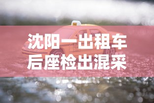 沈阳一出租车后座检出混采管阳性样本1个（沈阳出租车颜色含义）