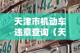 天津市机动车违章查询(天津机动车违法信息查询) 天津市机动车违章查询(天津机动车违法信息查询)