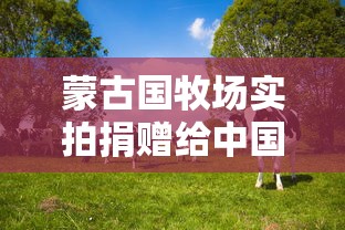 蒙古国牧场实拍捐赠给中国的羊（蒙古捐赠给中国的羊怎么处理）