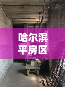 哈尔滨平房区发现2例阳性感染者:哈尔滨平房确诊轨迹