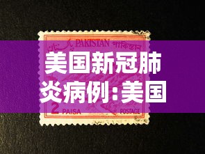 美国新冠肺炎病例:美国新冠肺炎确诊病例