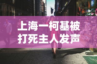上海一柯基被打死主人发声/上海柯基年会